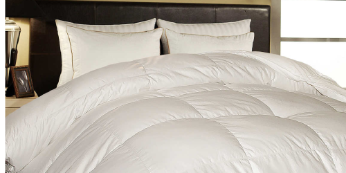 Hotel Grand Goose Feather & Down Comforter from $44.99 Shipped on Costco.com