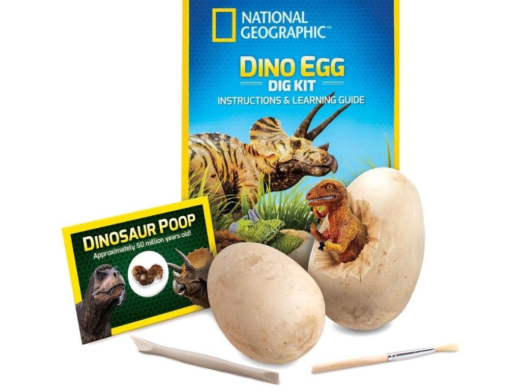 national geographic dino egg dig kit with dino eggs and brushes