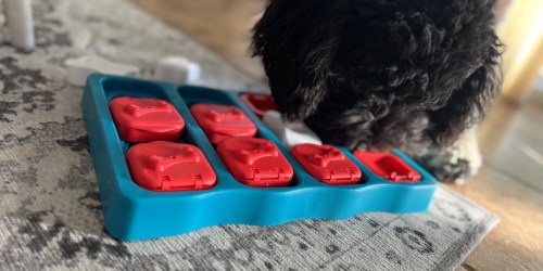 Outward Hound Dog Puzzle Toy Just $8.76 on Amazon (Regularly $28) | Over 30,000 5-Star Reviews