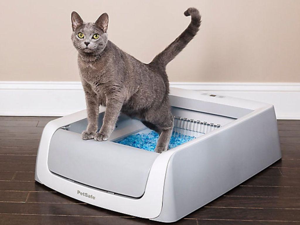 PetSafe Self Cleaning Litter Box