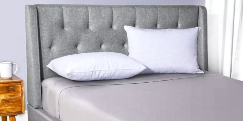 Sealy Cooling Pillow Just $8 w/ Free Pickup at Target (Regularly $20)