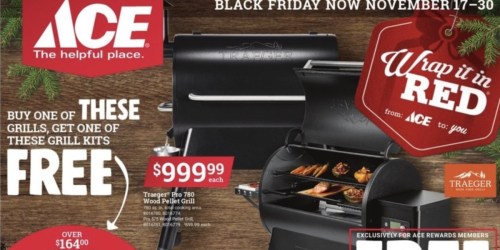 ** Ace Hardware Black Friday Deals Live Now | Save on Tools, Christmas Trees & More