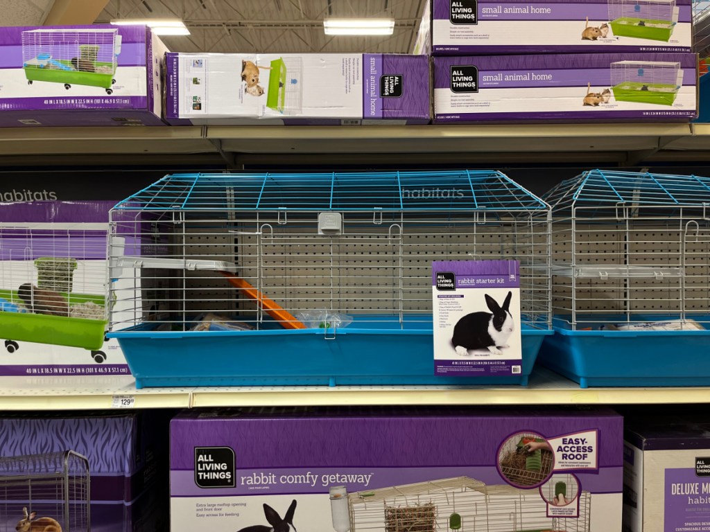 rabbit starter kit inside pet store