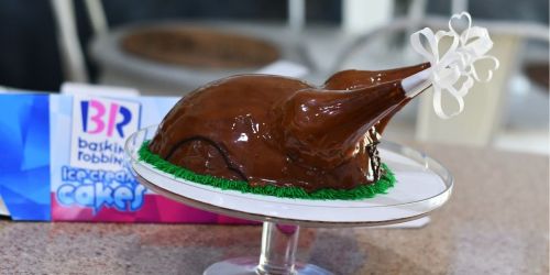 Baskin Robbins Turkey Cake Available for Pre-Order Now!