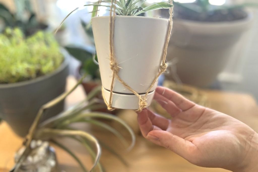 holding a macrame plant hander