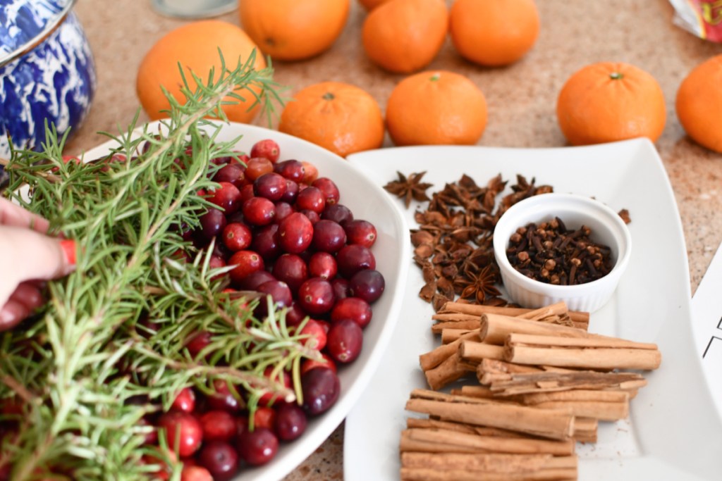 ingredients for stove top potpourri