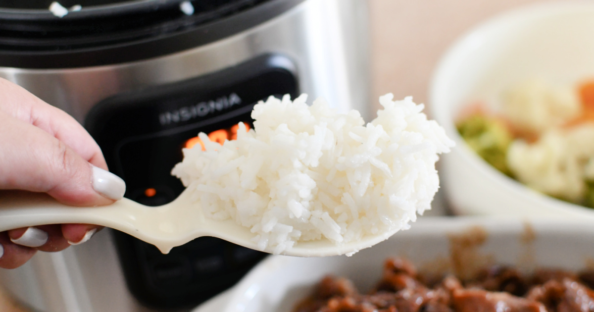 insignia brand rice cooker