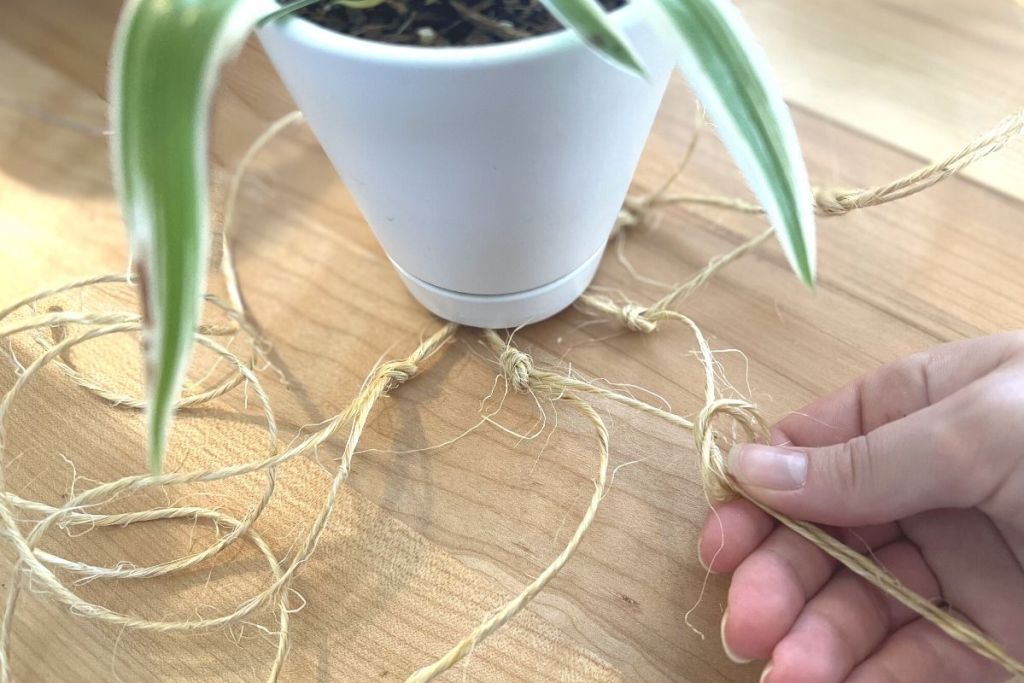 tying knots in jute rope underneath plant