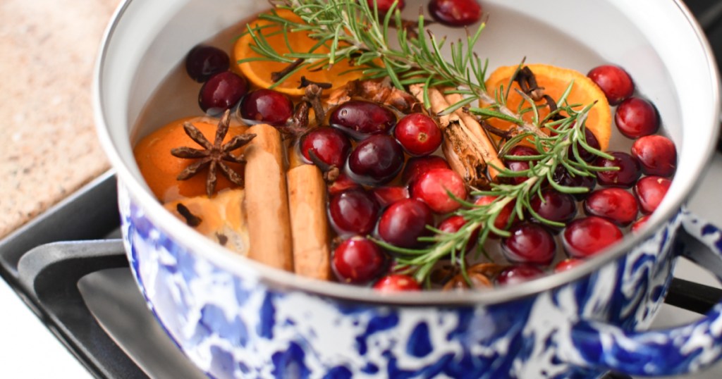 pot with stovetop potpourri