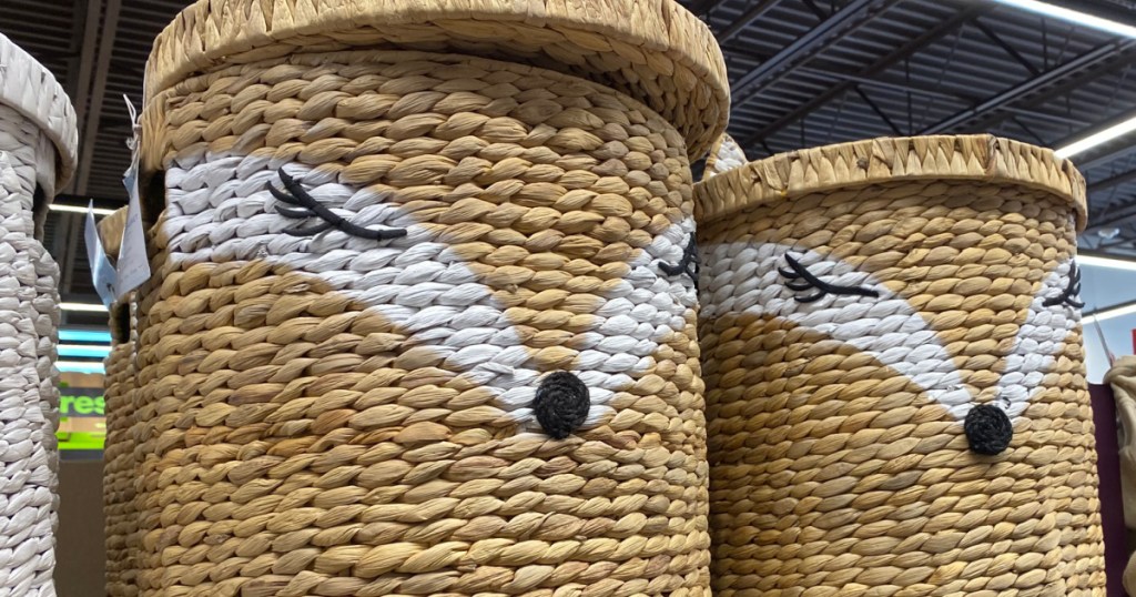 Fox Basket on ALDI Shelf