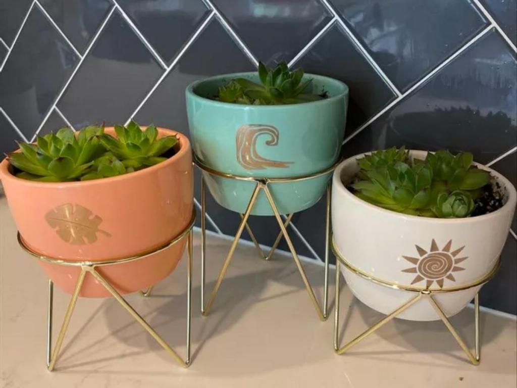 disney princess x popsugar moana planters on counter with plants