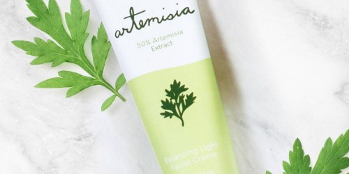 30% Off FaceTory Skincare on Target.com | Artemisia Facial Creme Only $9 + More