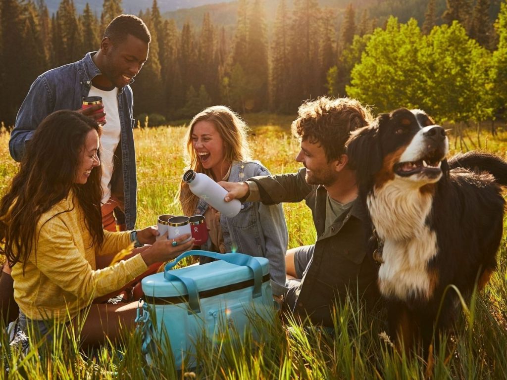 friends drinking wine in a field