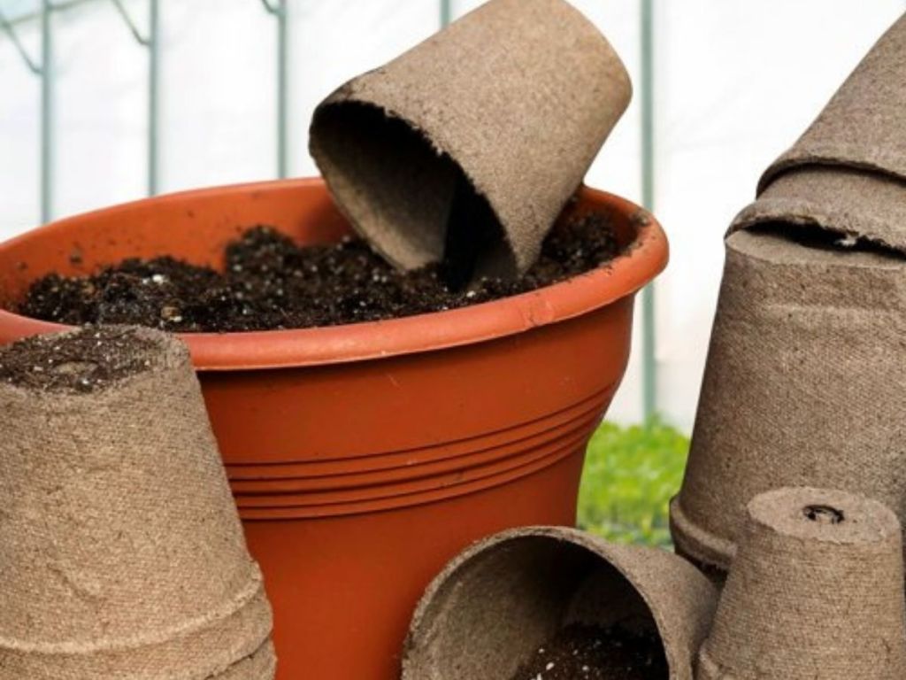 Jiffy Peat Pots