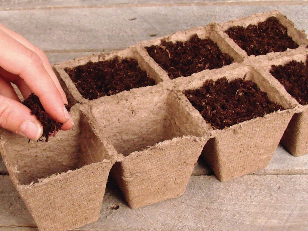 Jiffy Peat Strips