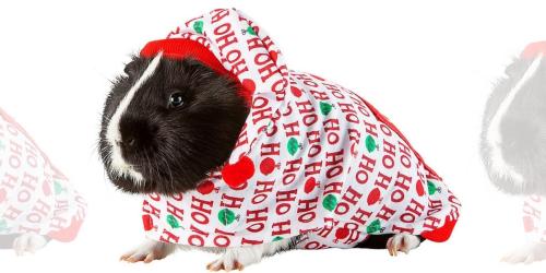 Merry & Bright Guinea Pig Costumes Just $5.94 at PetSmart