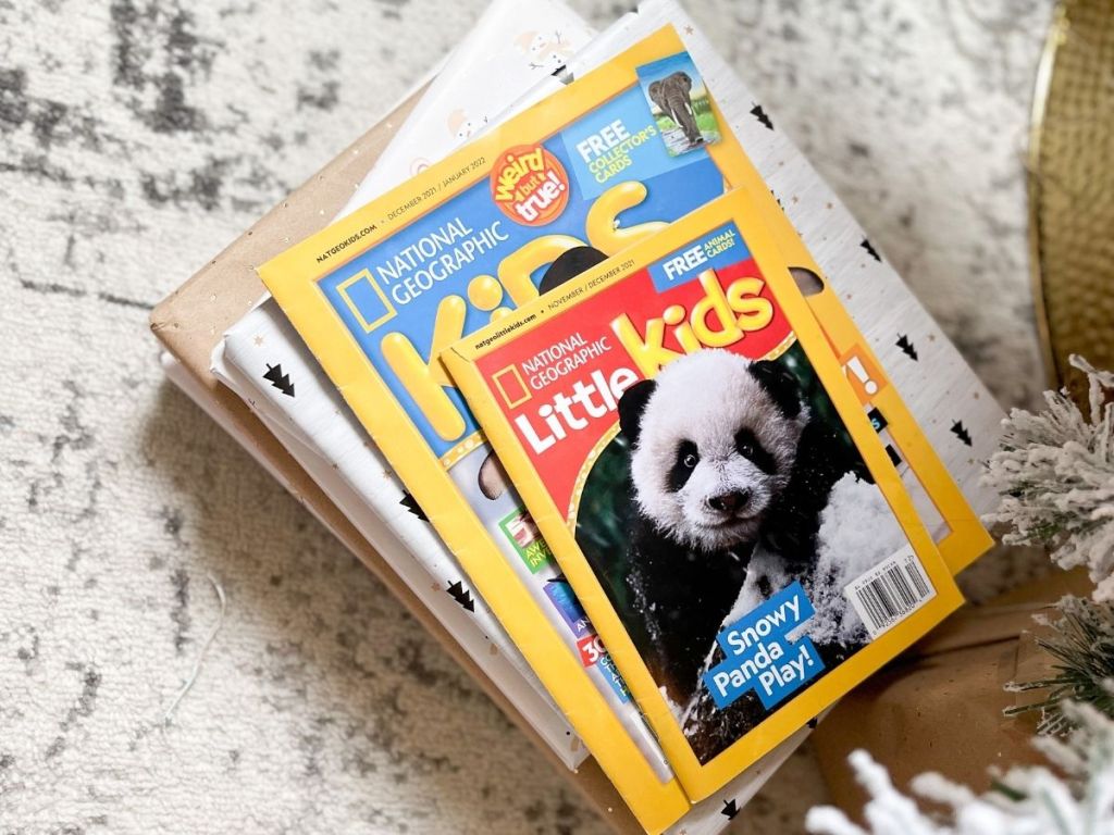 pile of magazines with National Geographic little kids magazine on top of stack