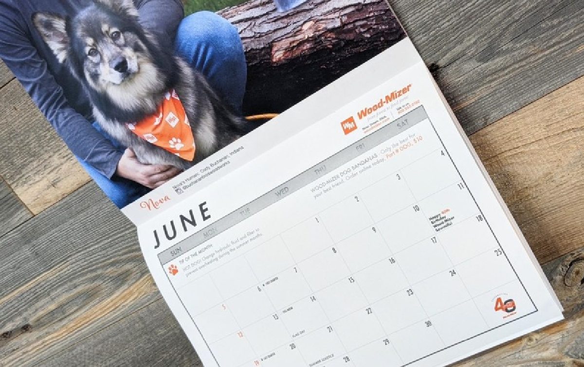 dog calendar