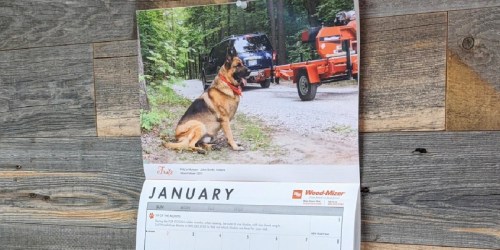 FREE Wood-Mizer 2022 Saw Dogs Calendar