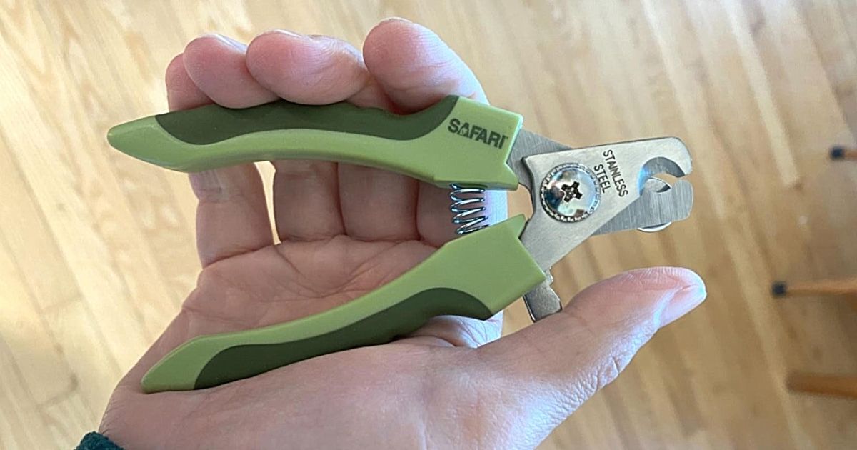 hand holding Safari dog clippers