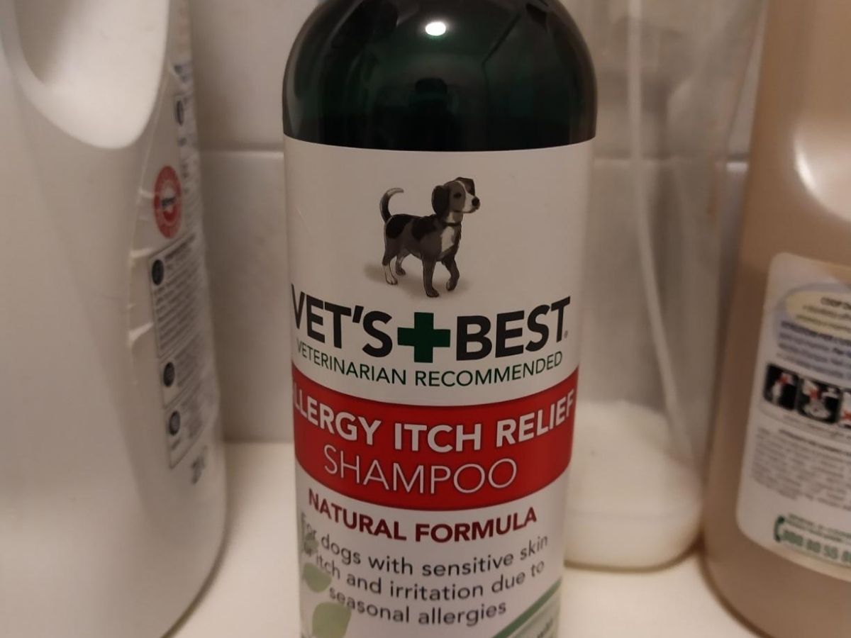 Vets + Best allergy itch relief shampoo