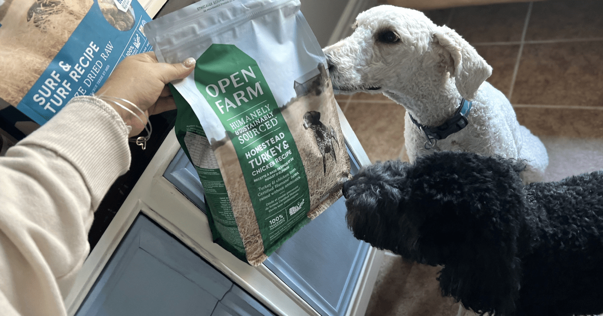 2 dogs sniffing Open Farm dog food