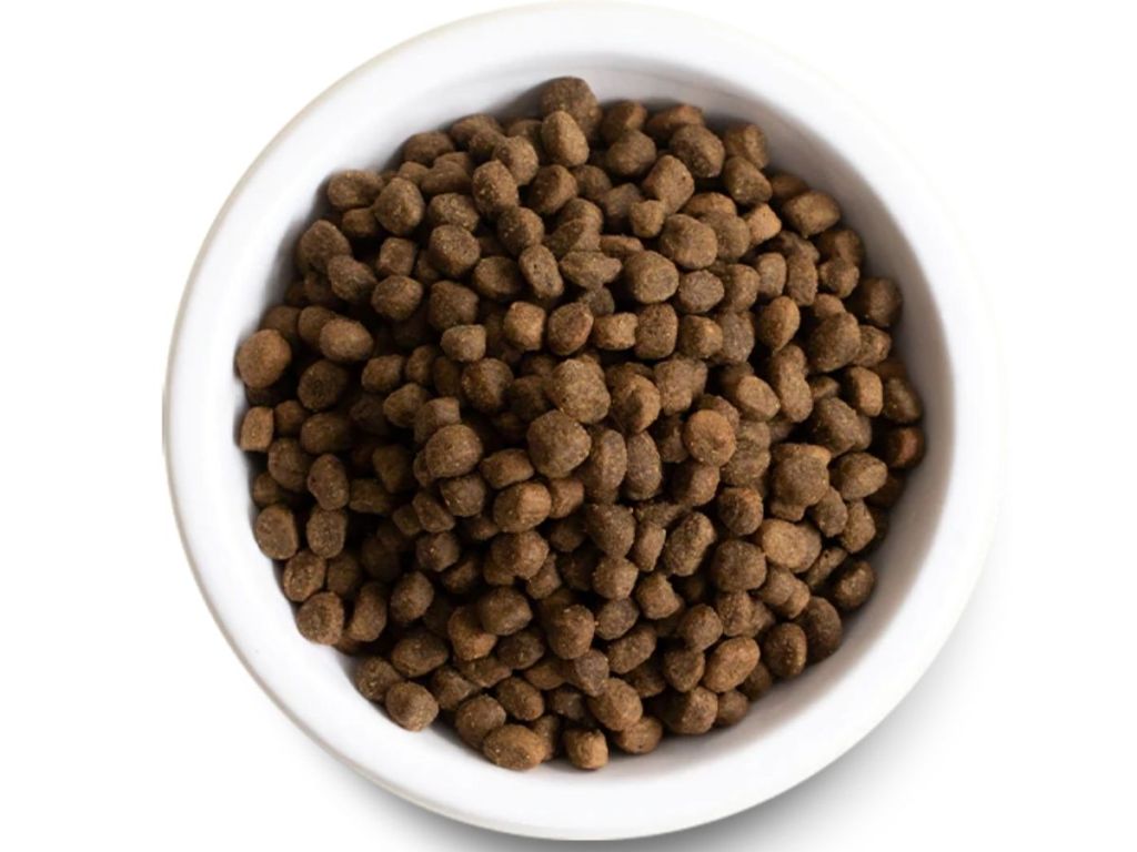 bowl of dog food