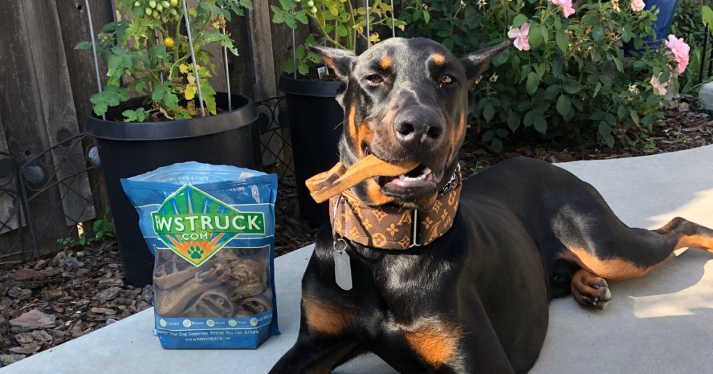 pawstruck dog chew