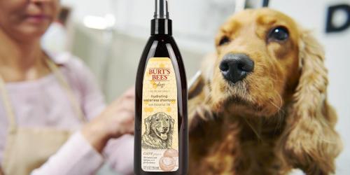 Burt’s Bees for Dogs Waterless Shampoo Spray w/ Coconut Oil Only $3 Shipped on Amazon