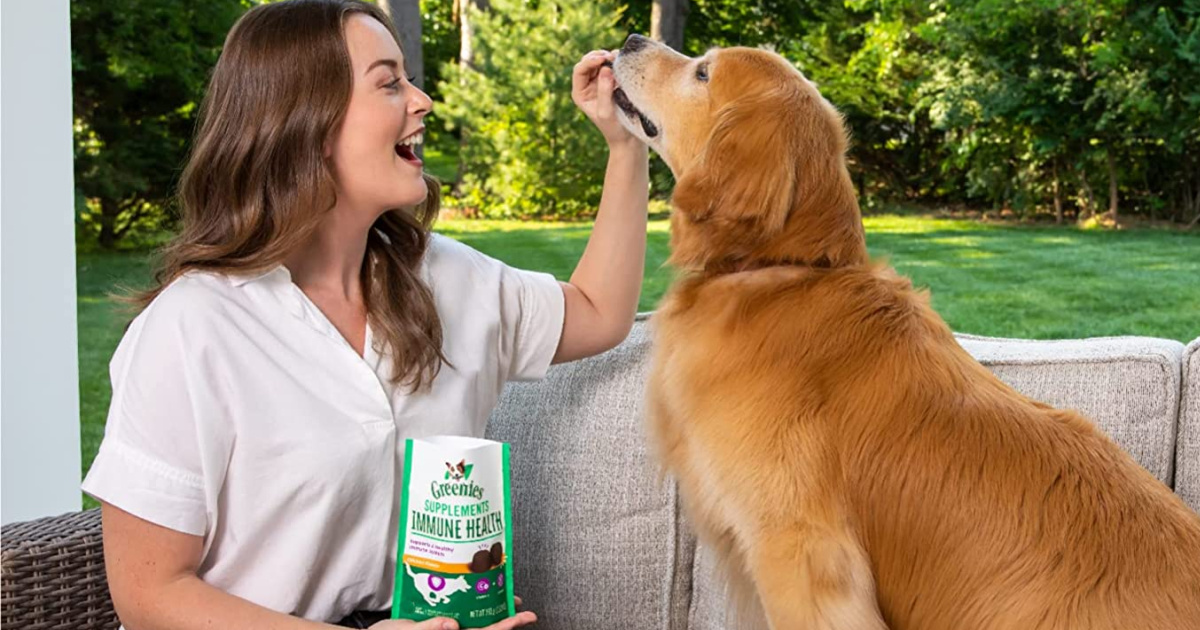 woman on couch feeding dog treat