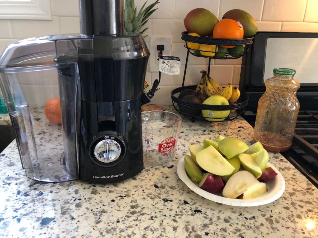 Hamilton Beach Juicer Machine with fruit next to it