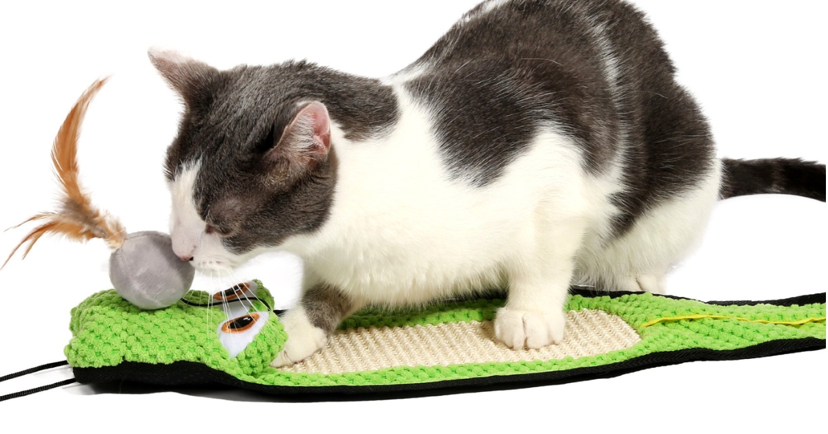 Hartz Cattraction Toy w/ Silver Vine & Catnip Gator Scratch