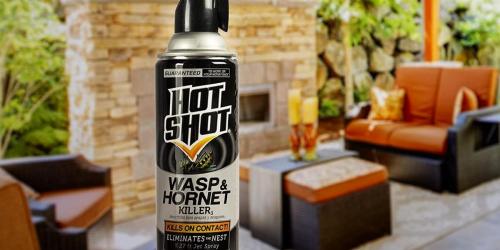 Hot Shot Wasp & Hornet Spray 2-Pack Only $5.58 Shipped on Amazon (Just $2.79 Each)