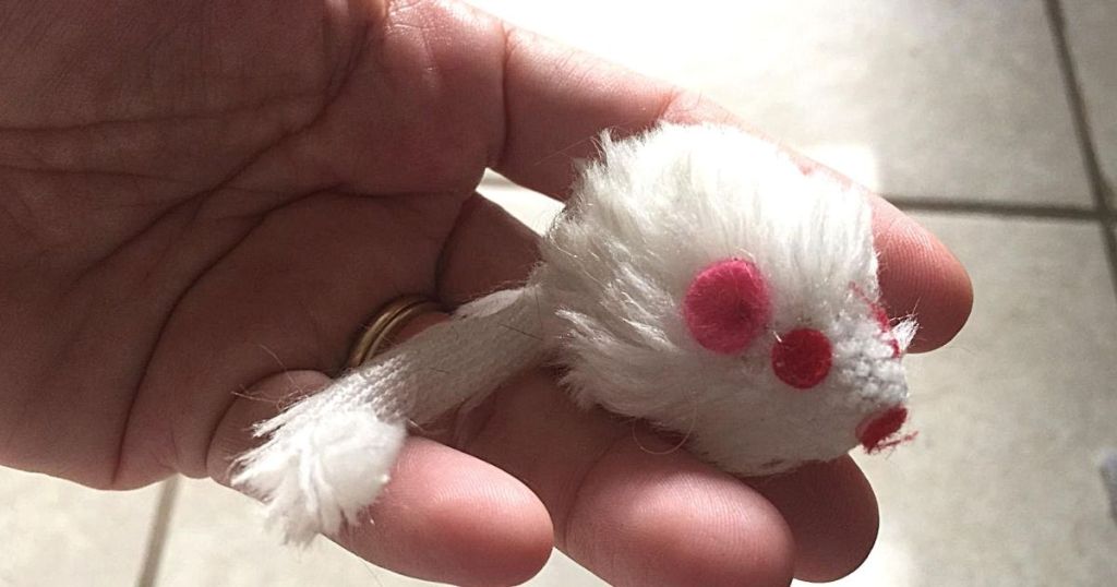 hand holding cat toy