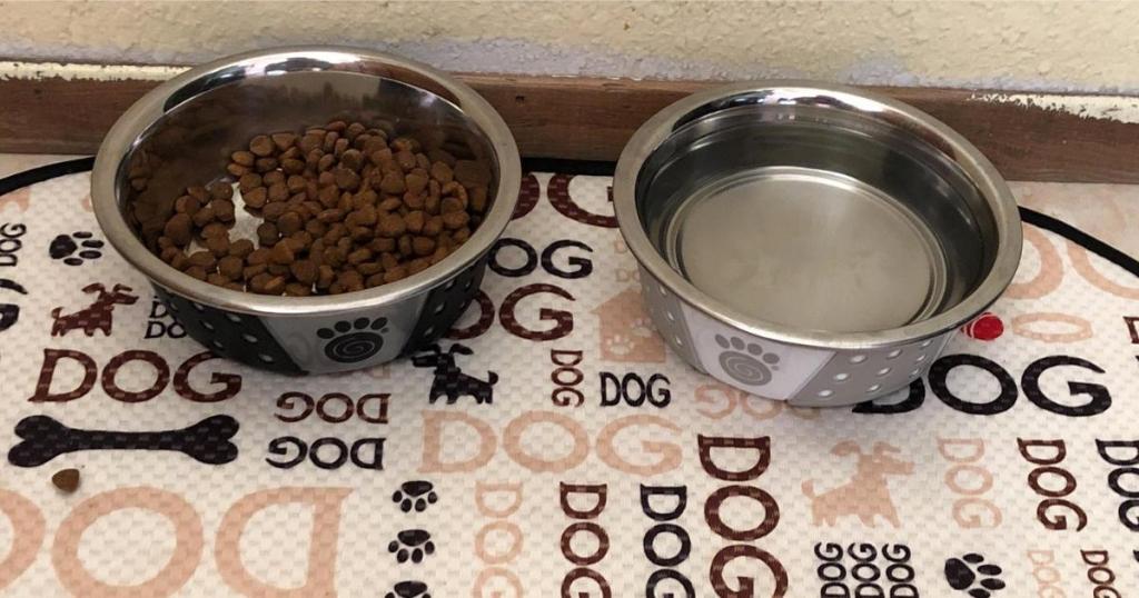 petrageous non slip stainless steel dog bowls