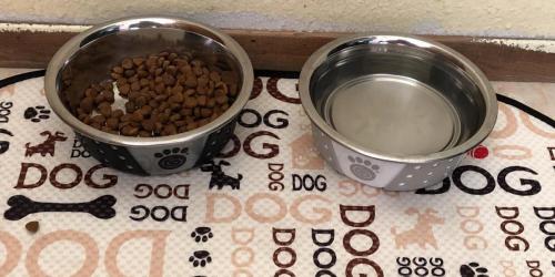 PetRageous Stainless Steel Non-Slip Dog Bowls from $2.98 on Walmart.com (Regularly $13)