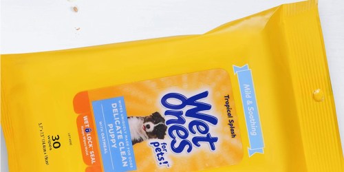 Wet Ones Multipurpose Dog Wipes Only $1.35 on Amazon