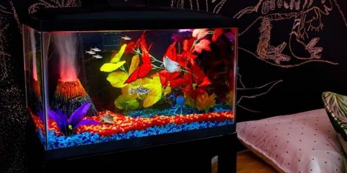 Aqueon Glass Aquariums from $9.99 on Petco.com (Regularly $20)