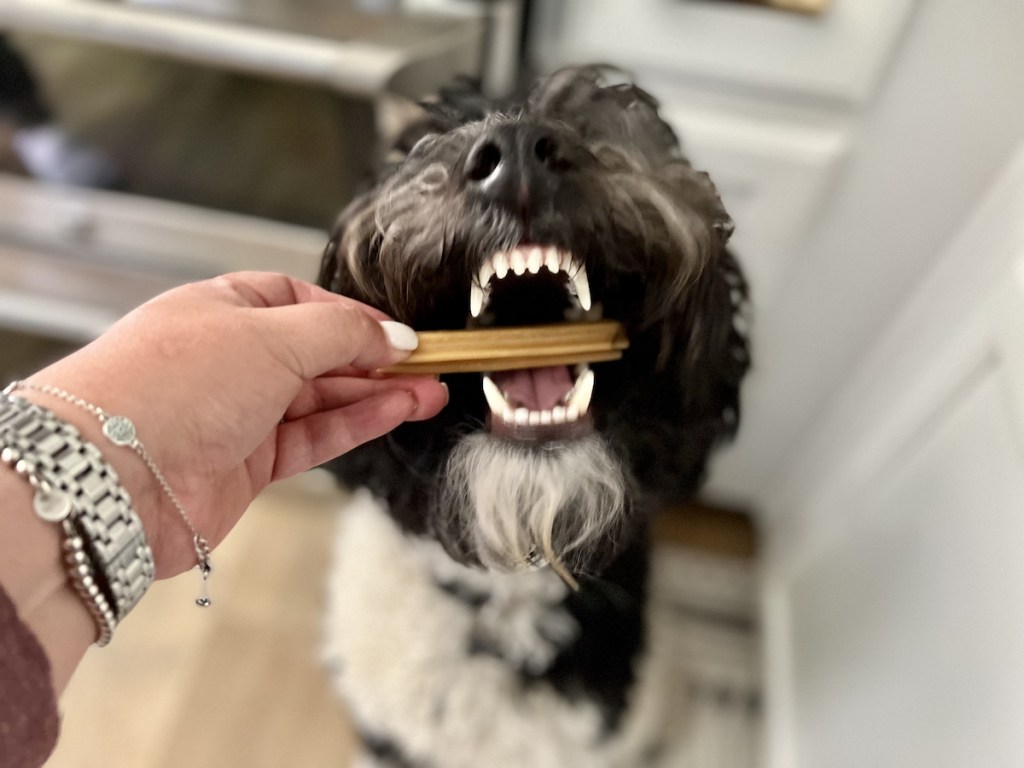 woman giving a dog a Bright Box dental treat