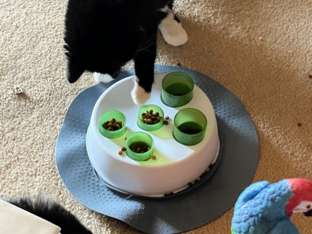 Catit Senses 2.0 Digger Cat Feeder