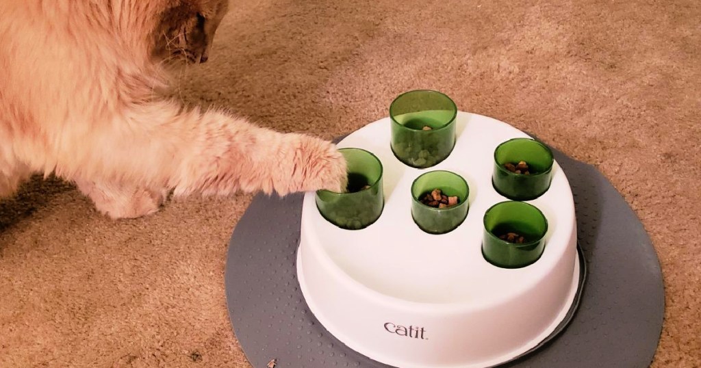 Catit Senses 2.0 Digger Cat Feeder