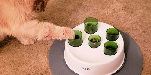 Catit Puzzle Cat Feeder Only $7.97 on Amazon (Regularly $20) | Slows Down Fast Eaters