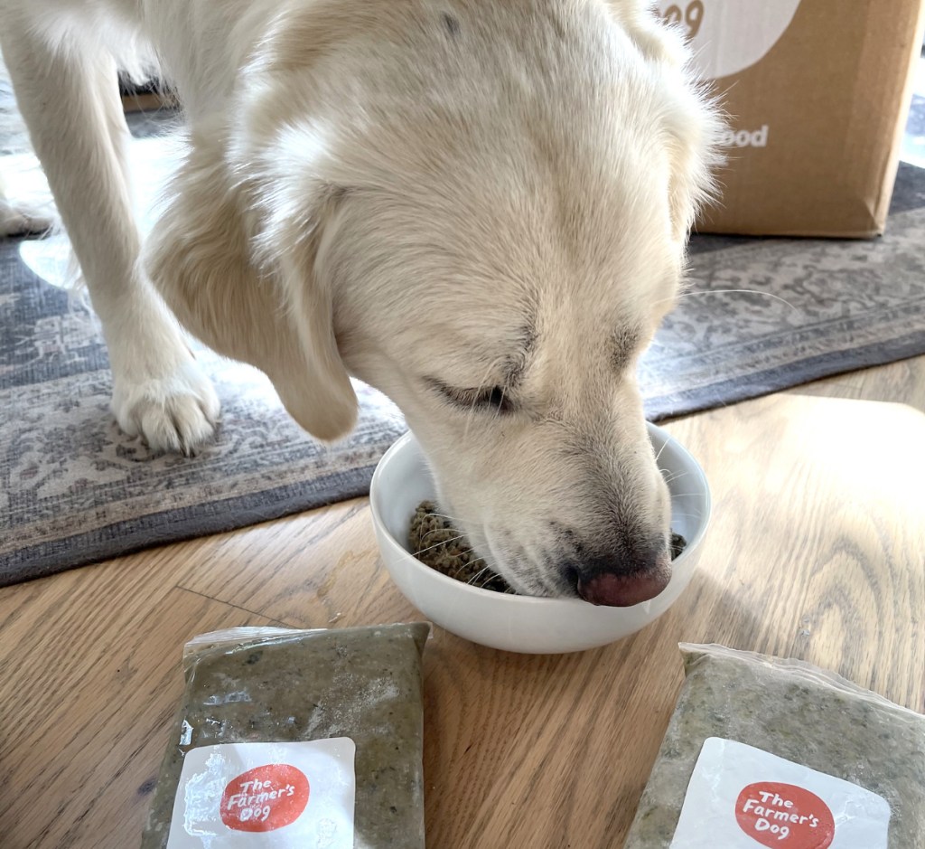 Dog eating Farmer's Dog Food