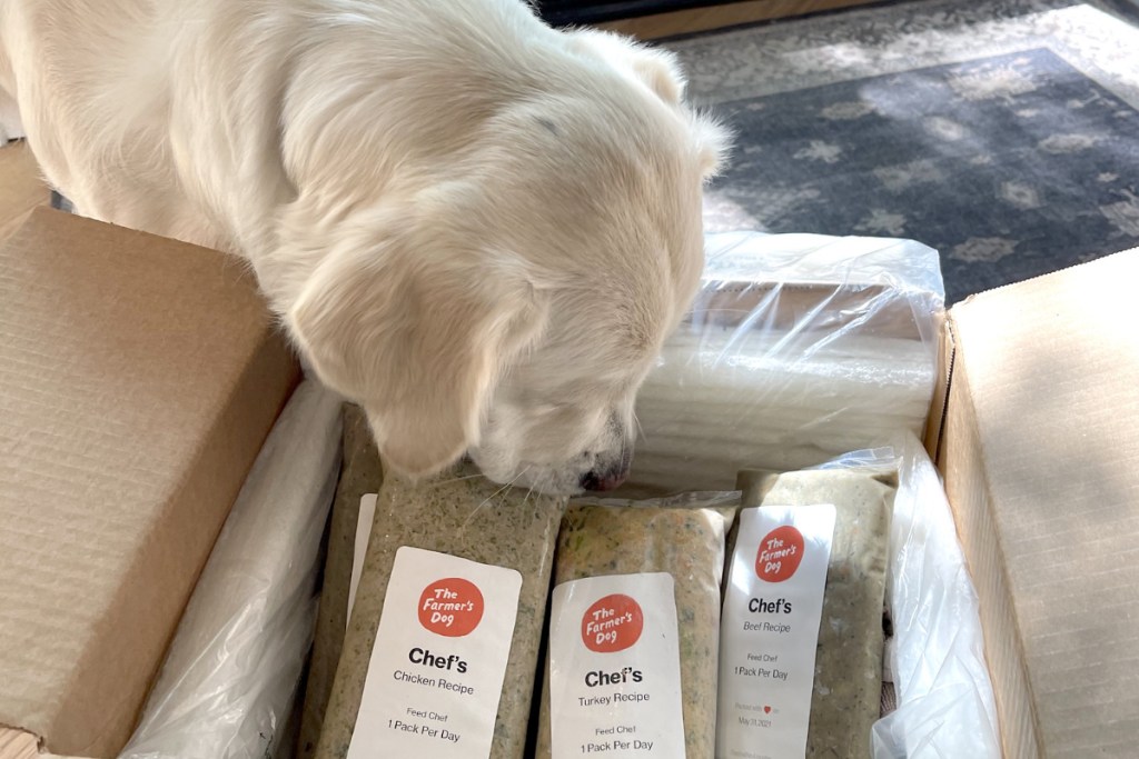 Dog in box of Farmer Dog Food