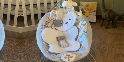 Fisher-Price Sweet Snugapuppy Deluxe Bouncer Only $44.99 Shipped on Amazon (Regularly $60)