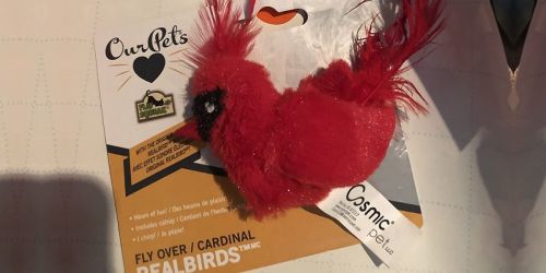 Cardinal Cat Toy w/ Realistic Chirping Noise Only $4.95 Shipped on Amazon (Regularly $10)