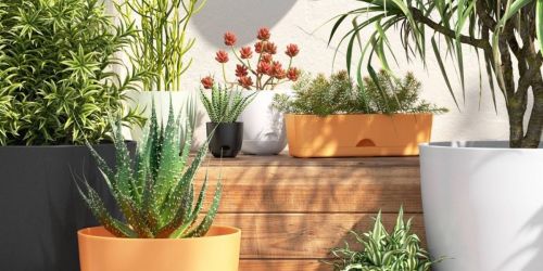 ** Highly Rated Self-Watering Planters from 90¢ Each on Target.com