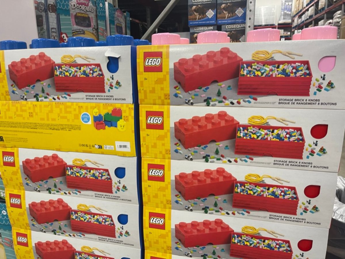 Sams lego storage bricks