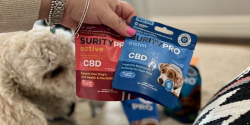 Buy 1, Get 1 Free CBD Dog Treats (Calm, Active, & Wellness Varieties) + Free Pack of Gummies