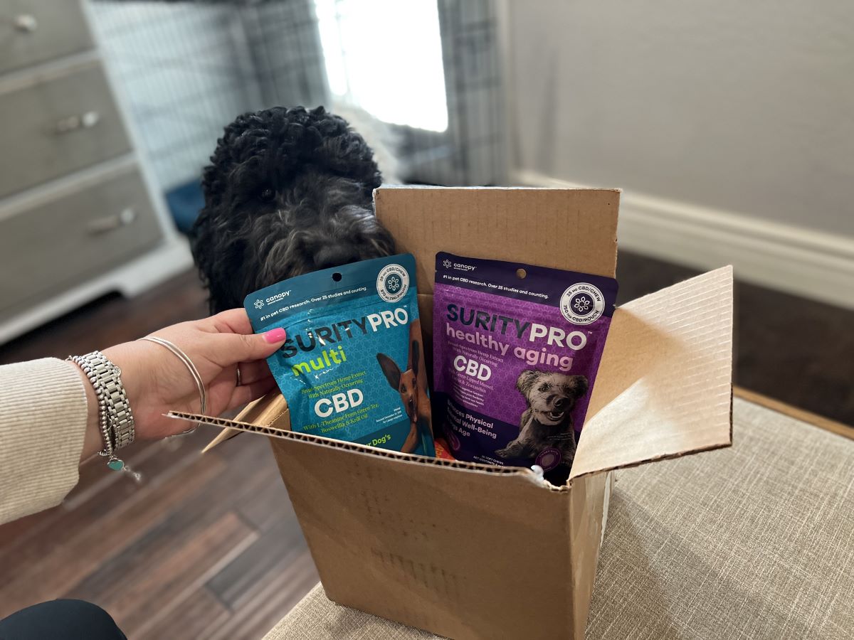 hand holding bag of CBD dog treats by a dog